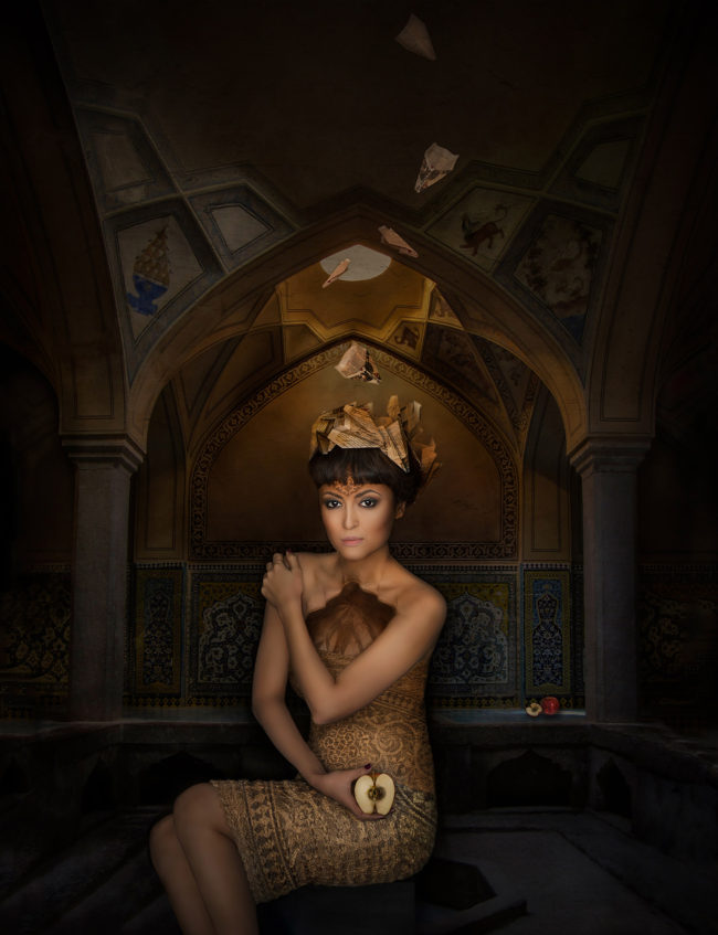 My Share From The Revolution